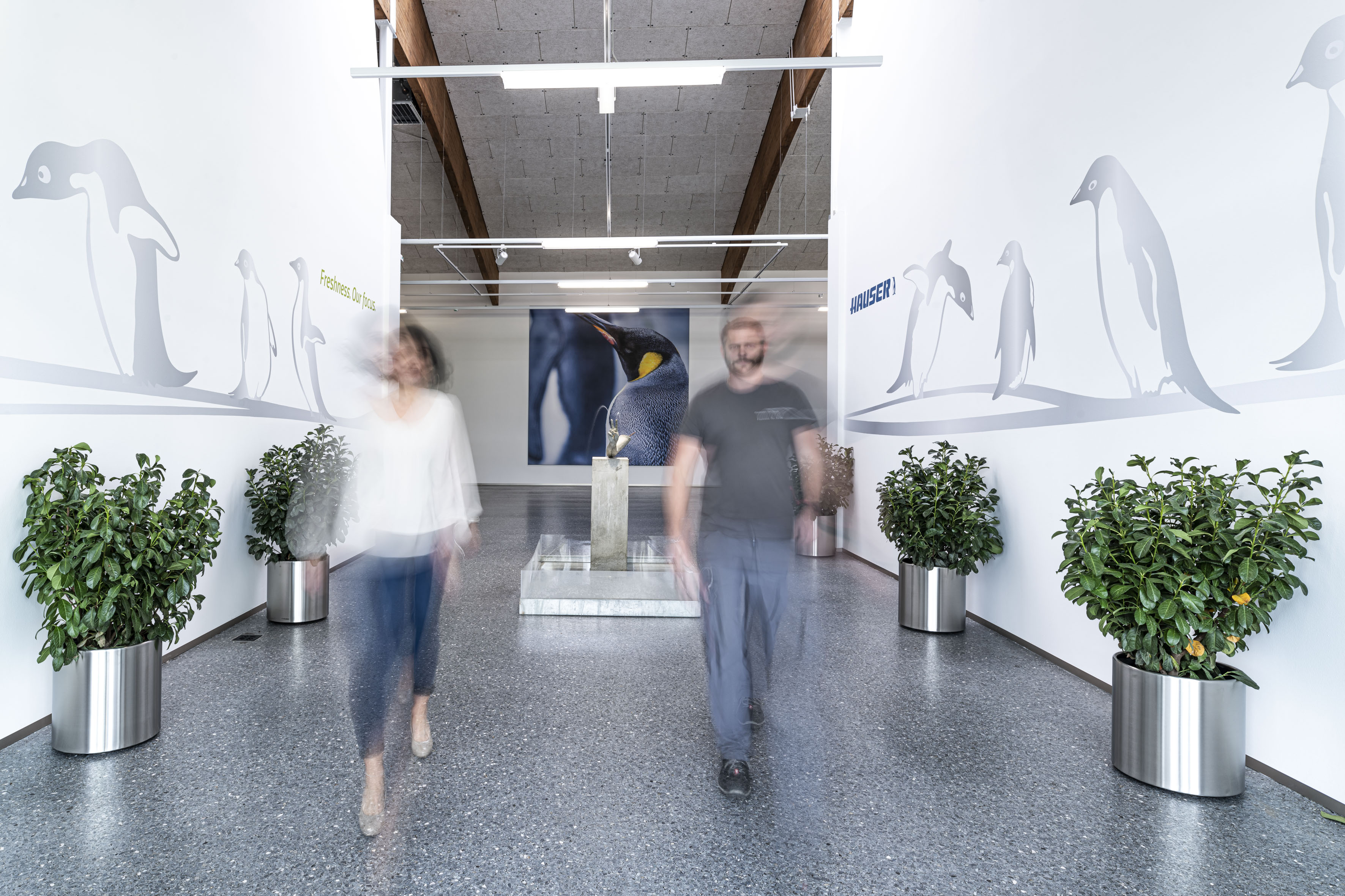 Hauser Eroffnet Neues Tech Center In St Martin Hauser